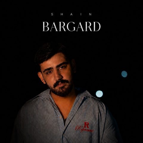 دانلود آهنگ شاین برگرد